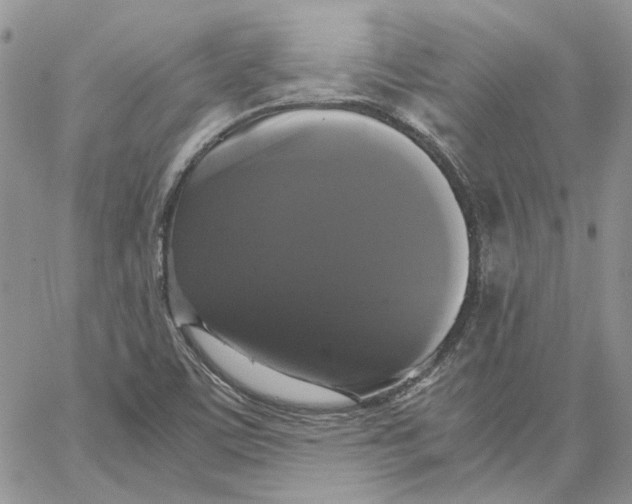 X0000062851459200602031615