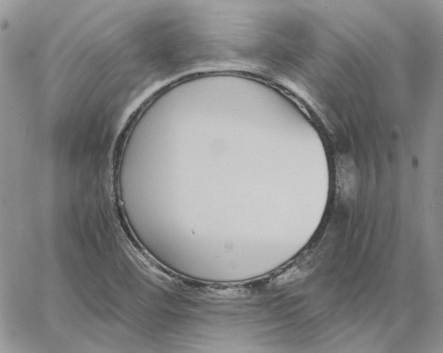 X0000062851460200602031615