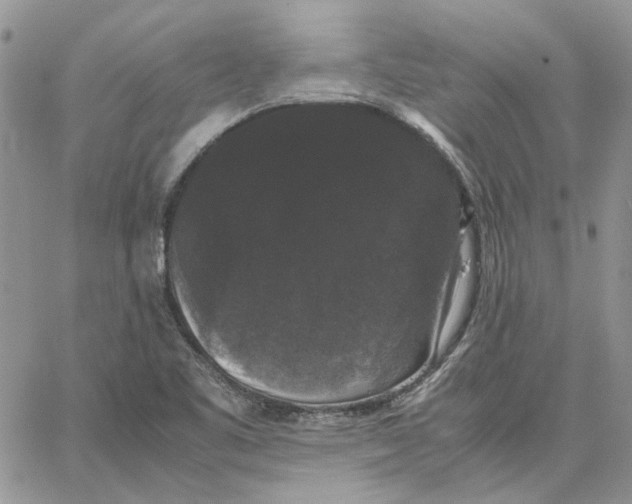 X0000062851461200602031615