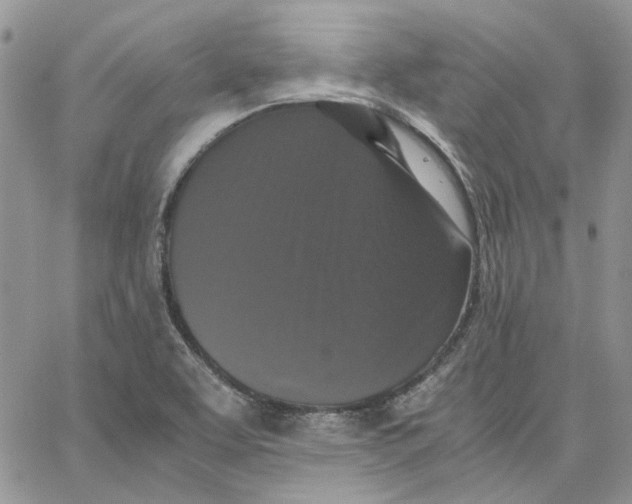 X0000062851463200602031615