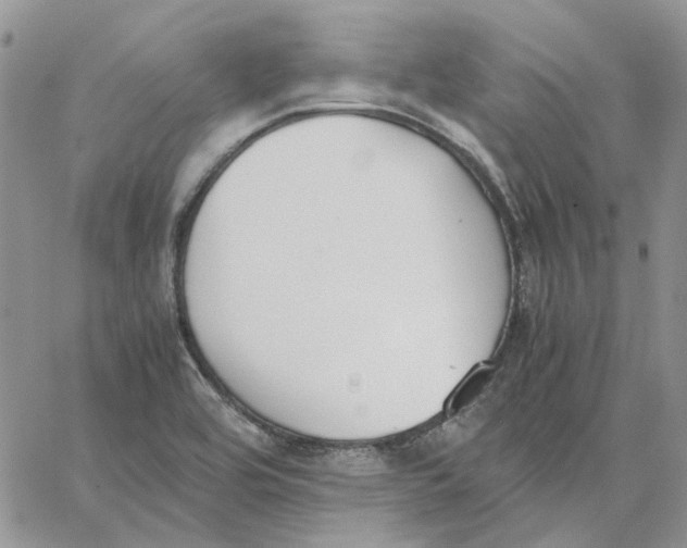 X0000062851464200602031615