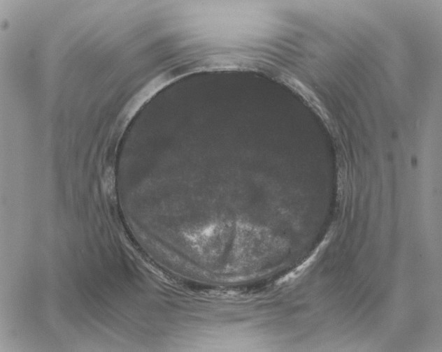 X0000062851465200602031615