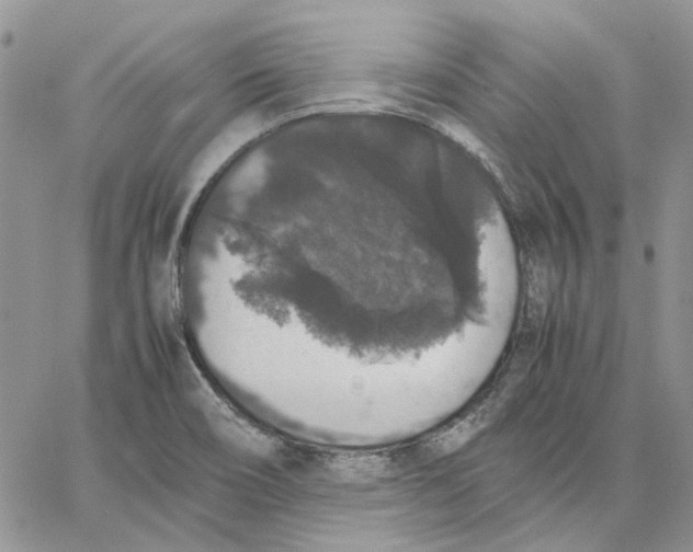 X0000062851466200602031614