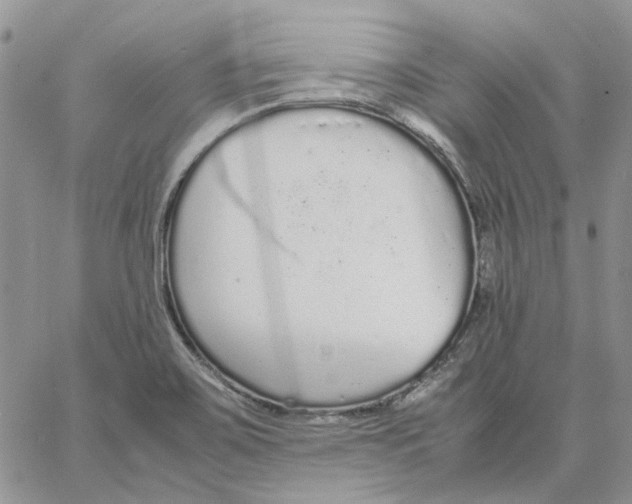 X0000062851467200602031614