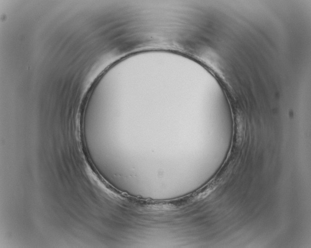 X0000062851468200602031614