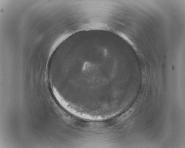 X0000062851469200602031614