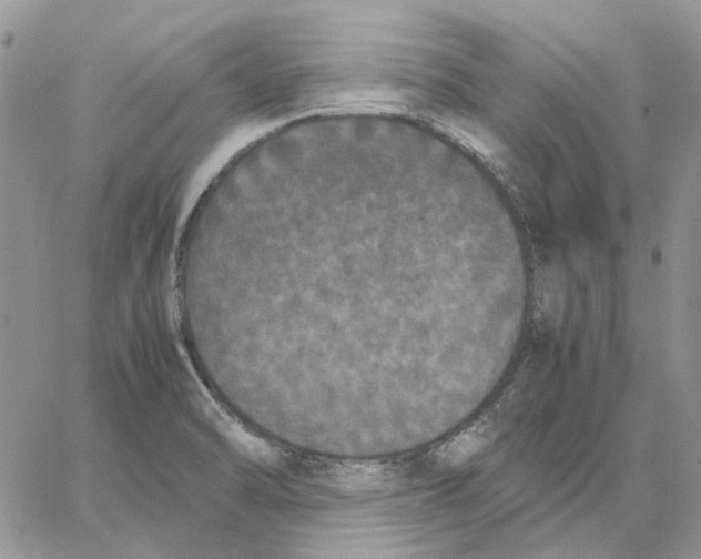 X0000062851470200602031614