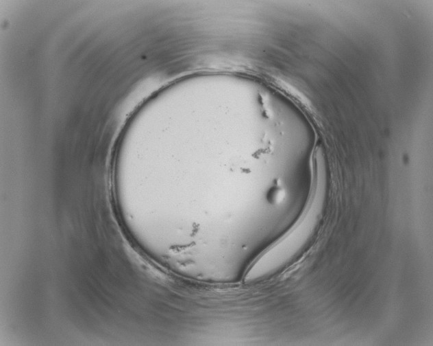 X0000062851471200602031614