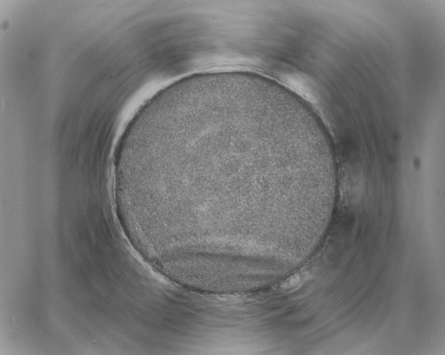 X0000062851472200602031614