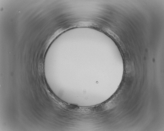 X0000062851473200602031614