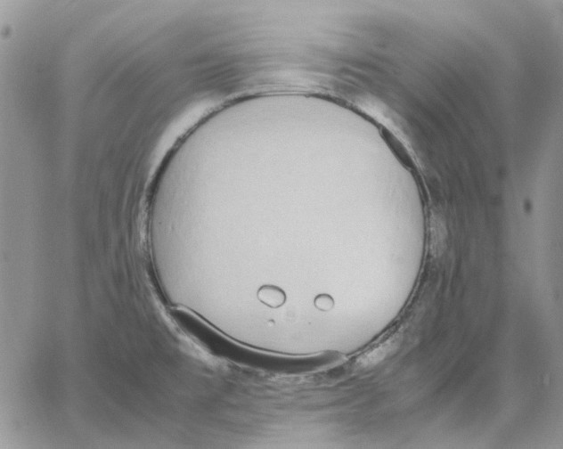 X0000062851477200602031614