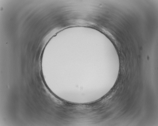 X0000062851479200602031614