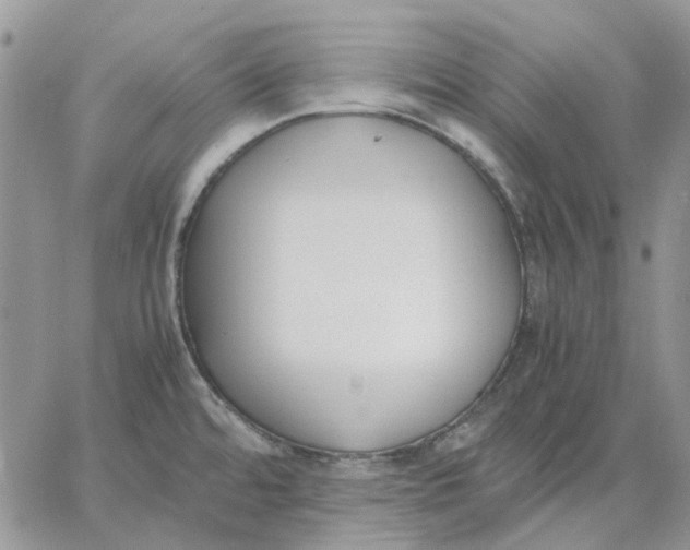 X0000062851480200602031614