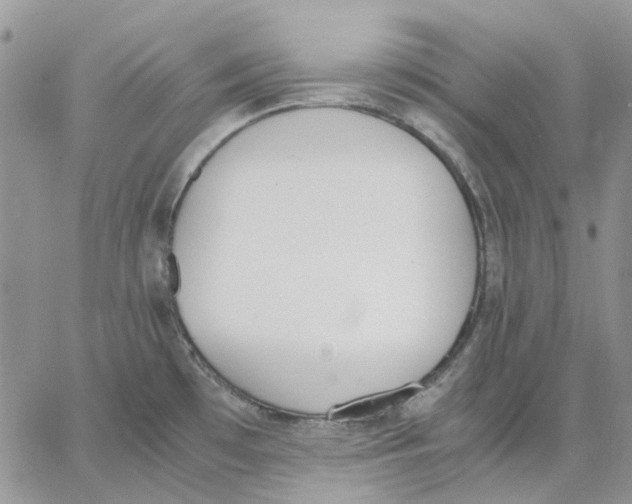 X0000062851481200602031614