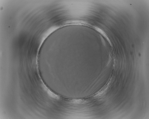 X0000062851482200602031614