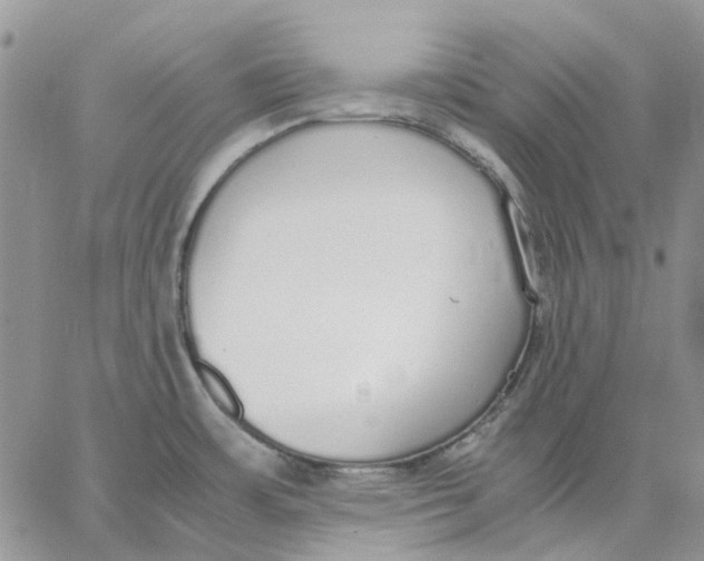 X0000062851483200602031614