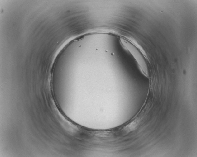 X0000062851484200602031614