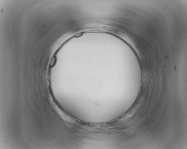 X0000062851485200602031614