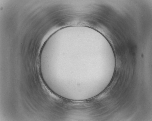 X0000062851486200602031614