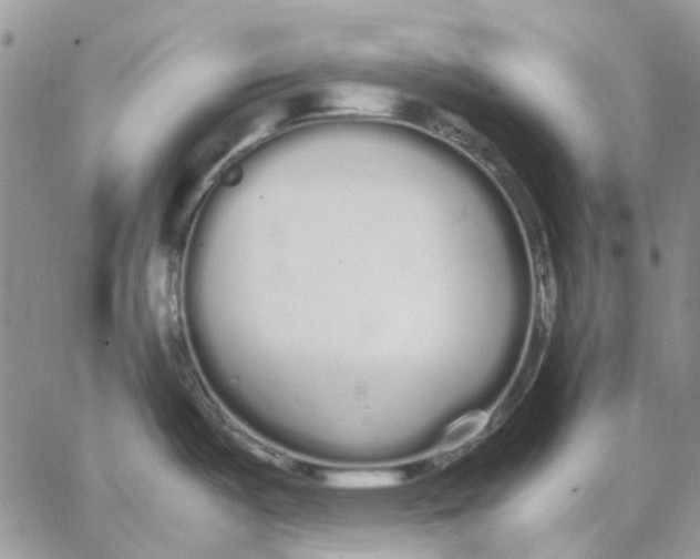 X0000062851487200602031614