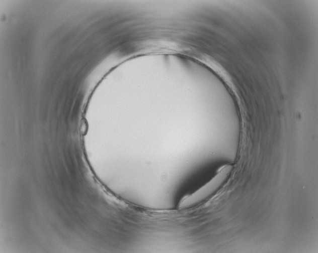 X0000062851488200602031614