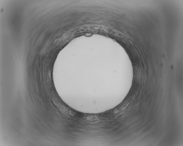 X0000062851489200602031613