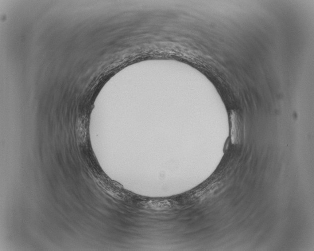 X0000062851491200602031613