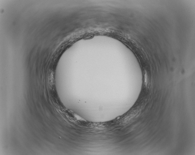 X0000062851492200602031613