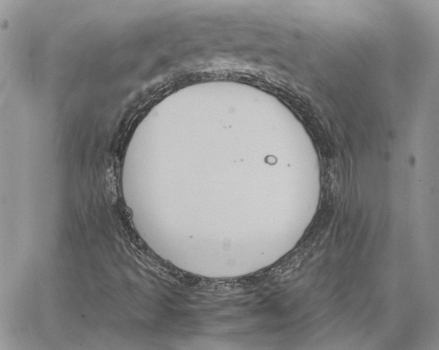 X0000062851493200602031613