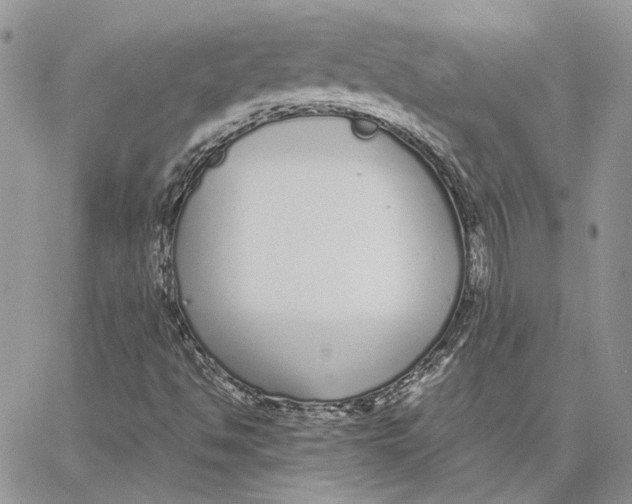 X0000062851494200602031613