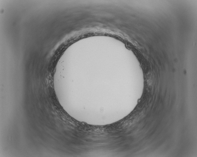 X0000062851495200602031613