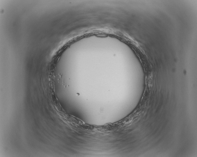 X0000062851496200602031613