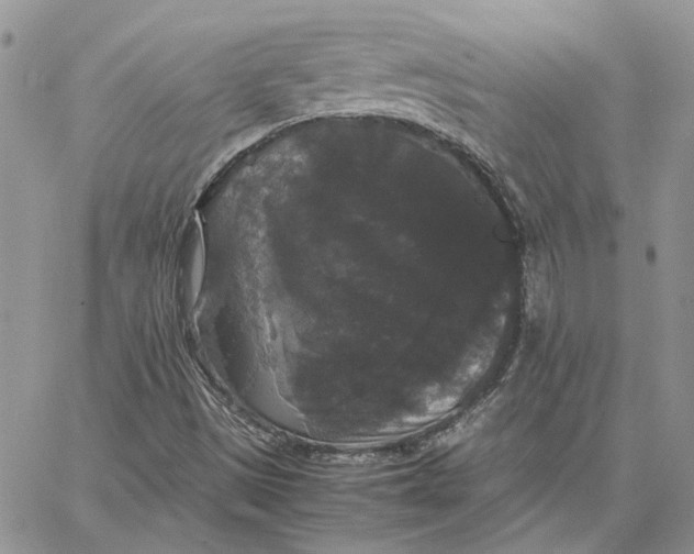 X0000062851497200602031613