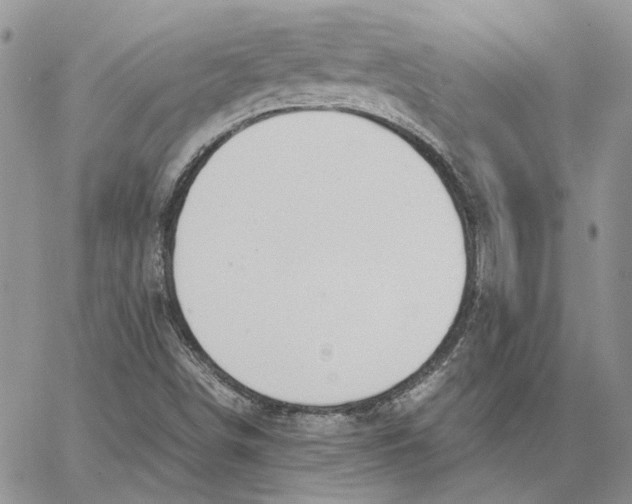 X0000062851498200602031614