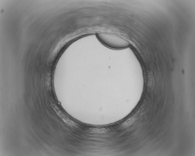 X0000062851499200602031614