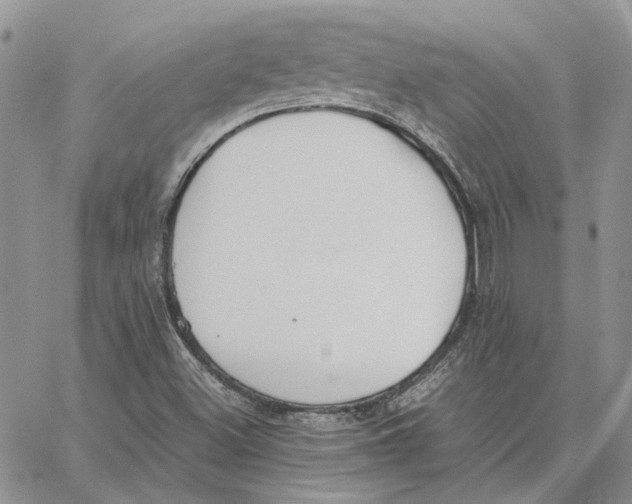 X0000062851500200602031614