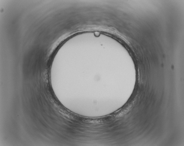 X0000062851501200602031614