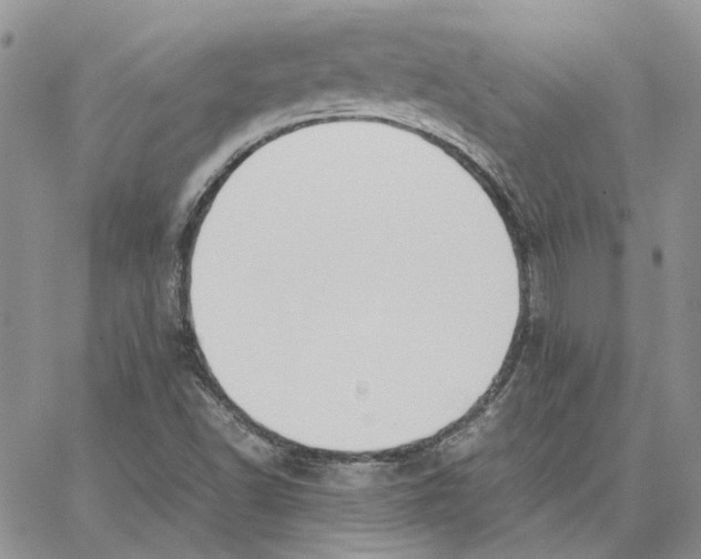 X0000062851502200602031614