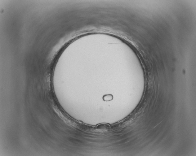 X0000062851503200602031614