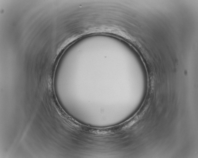 X0000062851505200602031614