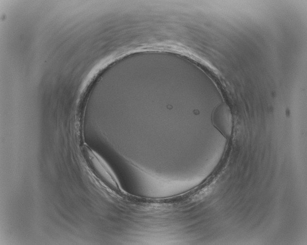 X0000062851506200602031614