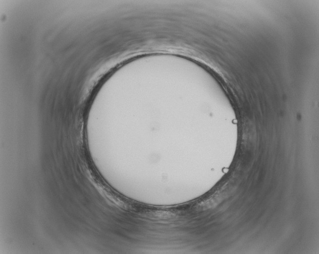 X0000062851507200602031614