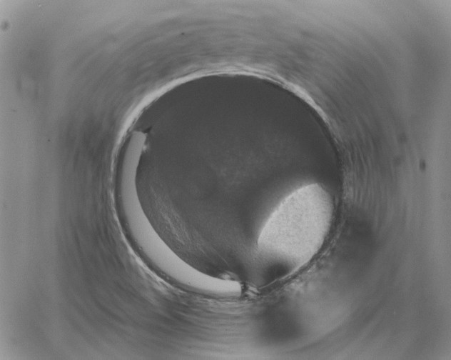 X0000062851508200602031614