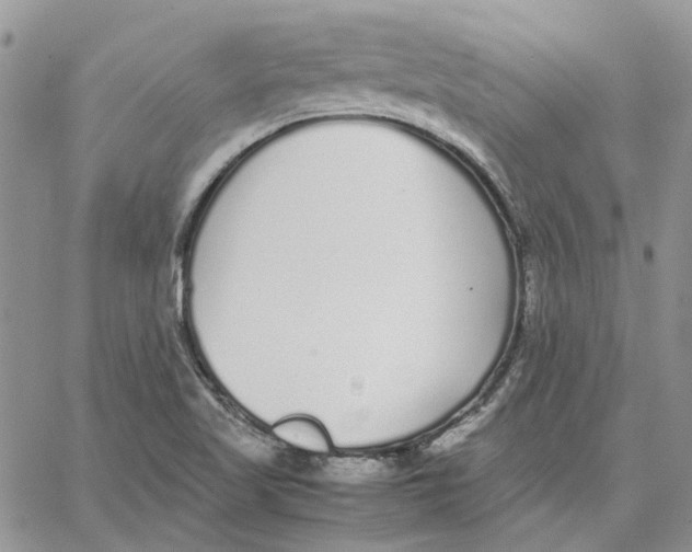 X0000062851509200602031614