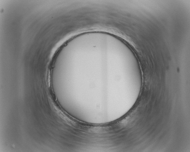 X0000062851510200602031614