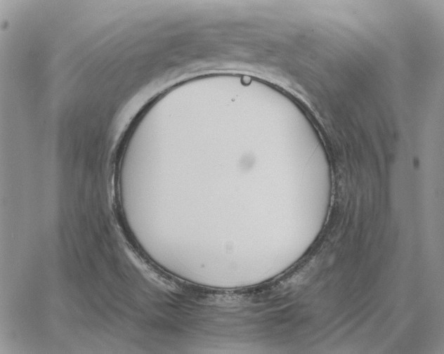 X0000062851511200602031614