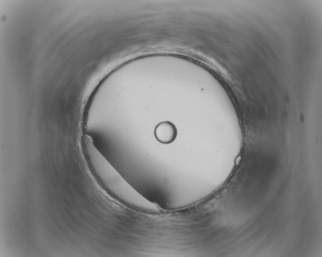 X0000062851512200602031614