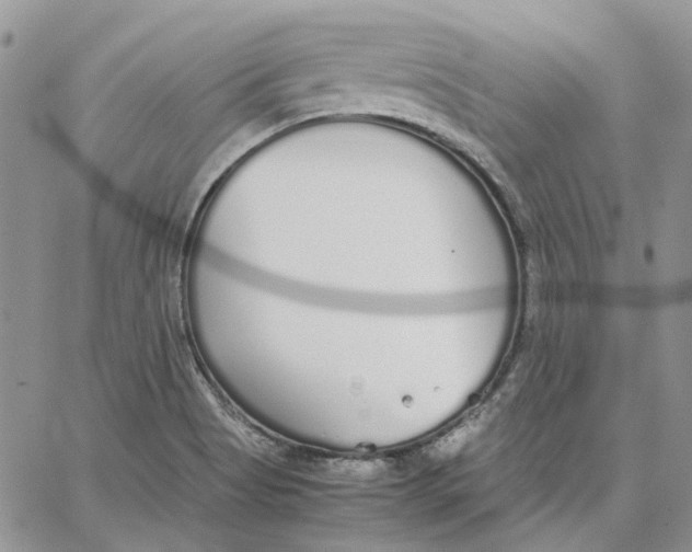 X0000062851513200602031614