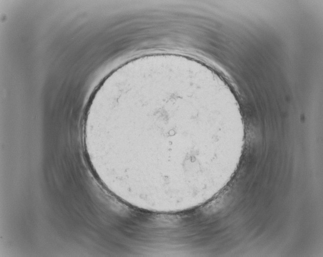 X0000062851514200602031614