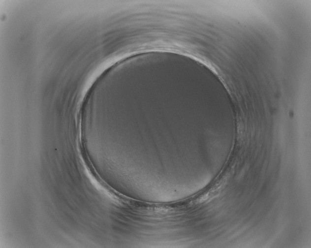 X0000062851515200602031614